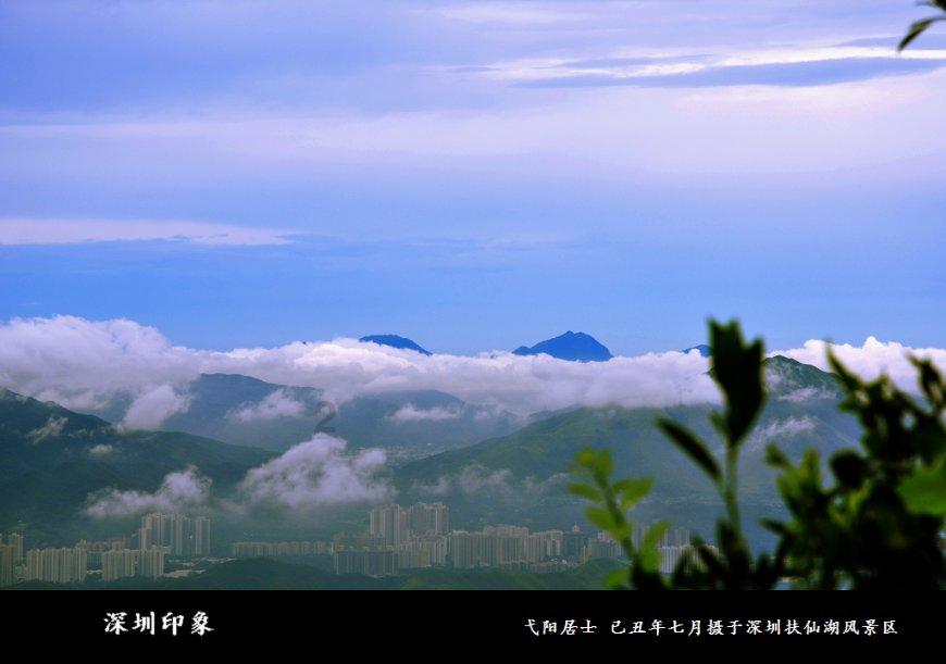梦想牧场